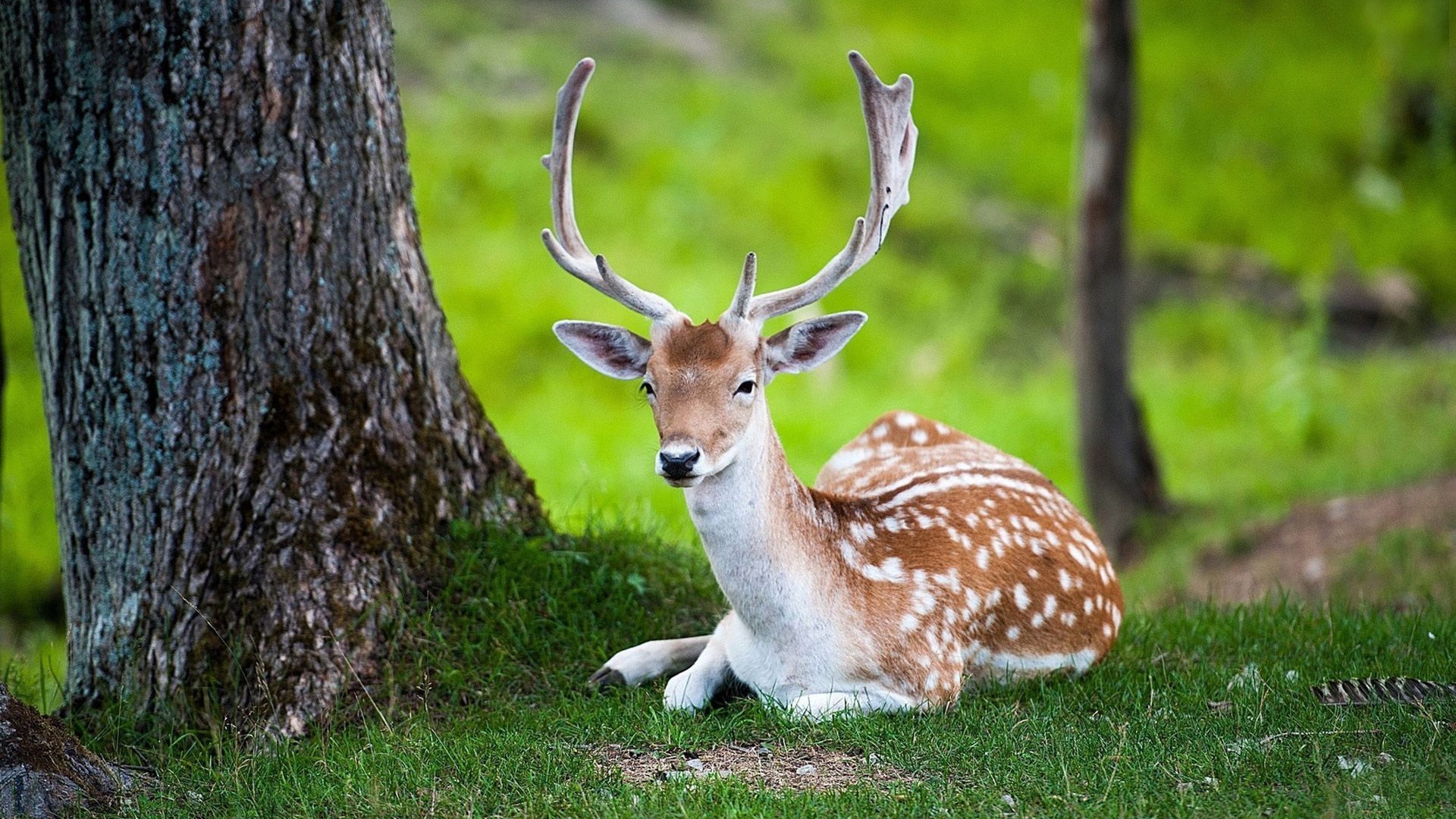 Sunderbans National Park