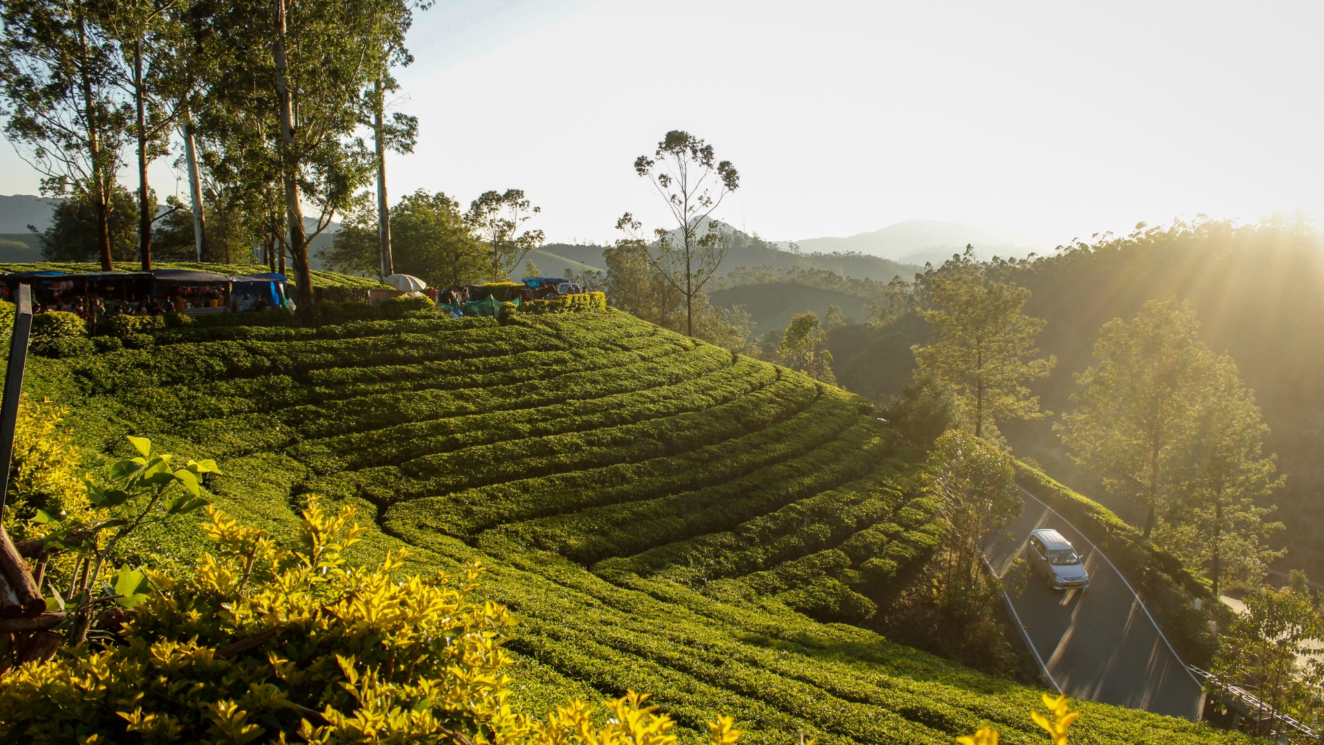 Munnar tour