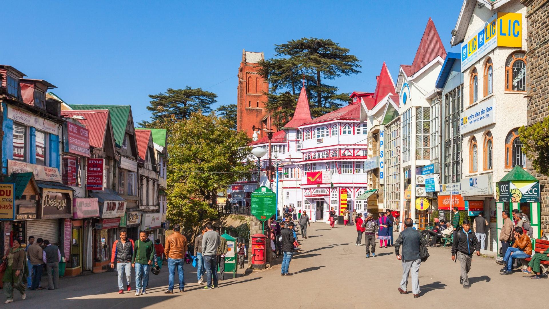 Shimla tour